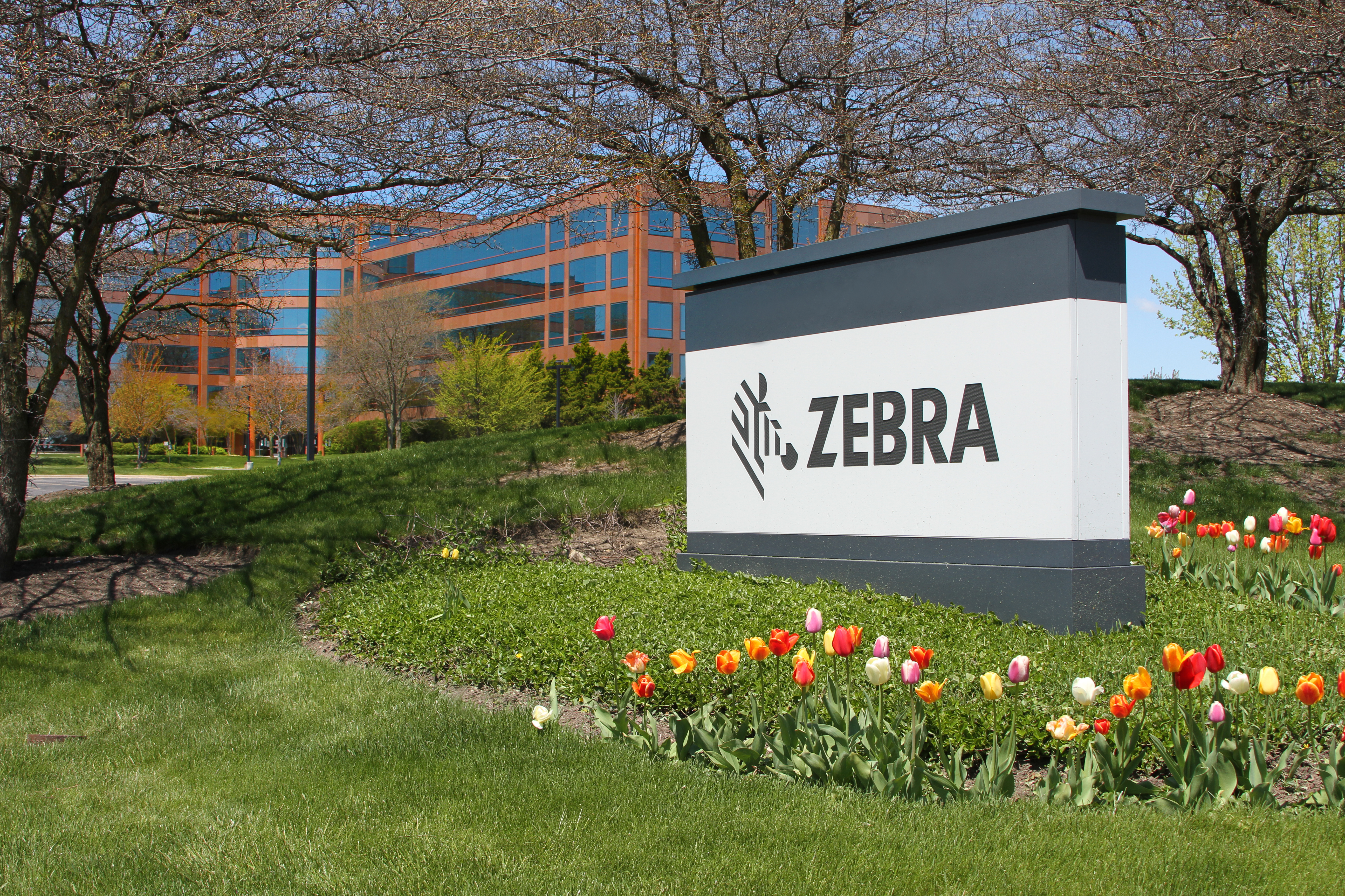 Why Zebra Technologies Stock Stumbled Today